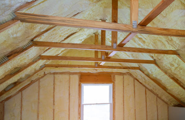 Best Insulation Maintenance and Repair in Walden, TN