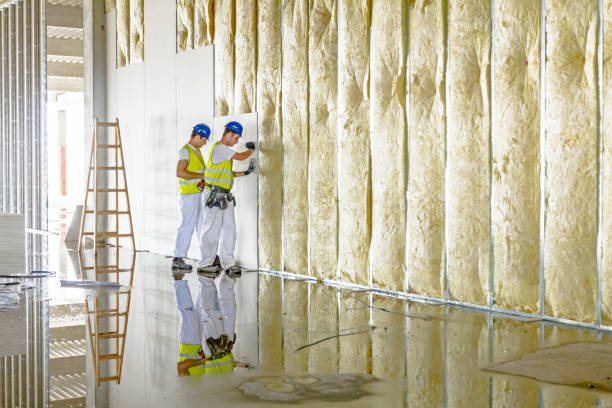 Best Cellulose Insulation in Walden, TN